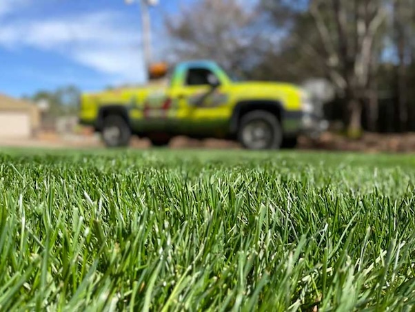 Lawn closeup with truck in background